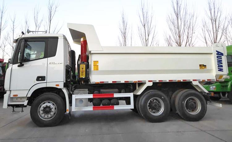 Foton Dump Truck Price | 10 Wheeler Foton Tipper Truck for Sale in Papua New Guinea